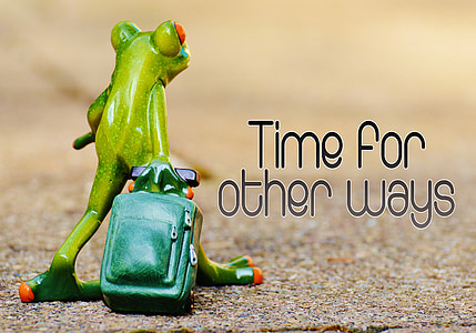 red-eyed tree frog carrying luggage figurine on ground thumbnail