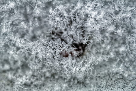 Snow Covered Ground thumbnail