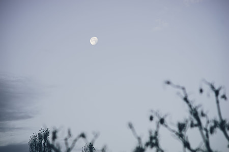 Early morning moon thumbnail