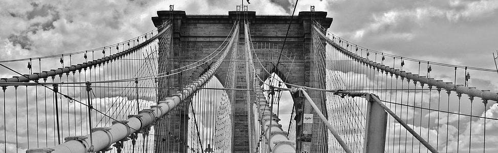 suspension bridge in grayscale photography thumbnail
