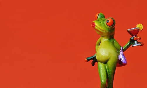 red-eyed tree frog illustration thumbnail