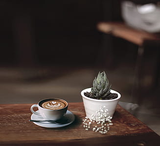 green plant thumbnail