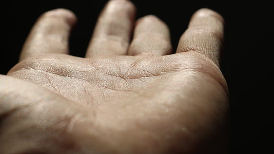 person showing left human palm thumbnail