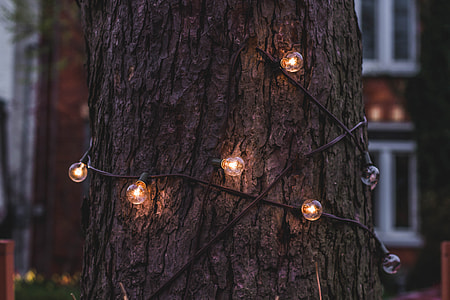 string lights turn on at daytime thumbnail