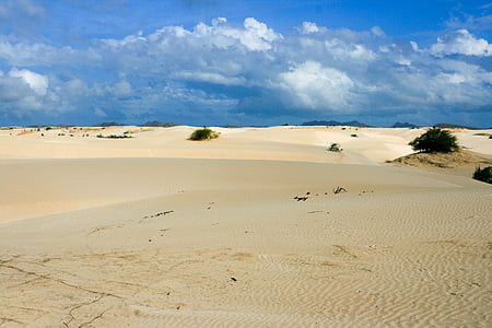photography of desert under cloudy blue sky at daytime thumbnail