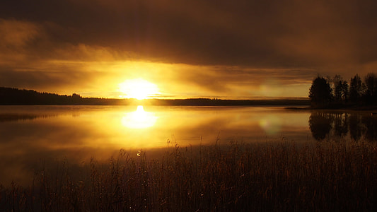 panorama photography of lake and tress thumbnail