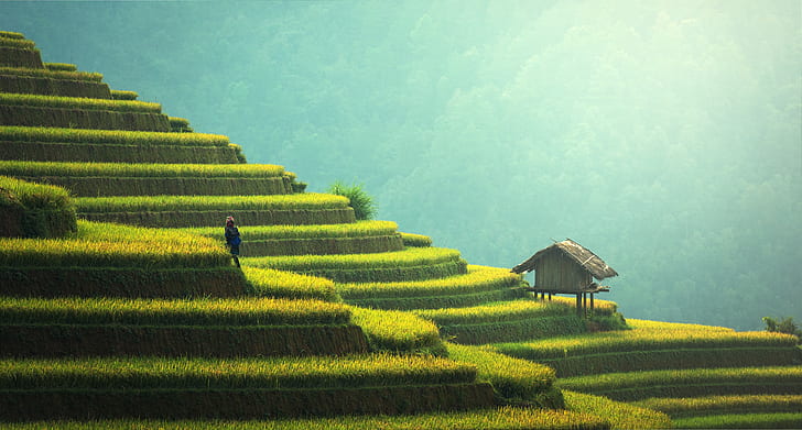 agriculture-asia-cat-china.jpg