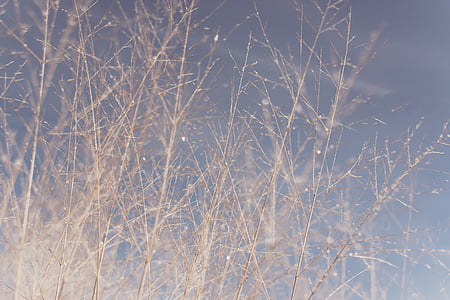 green grass during daytime thumbnail