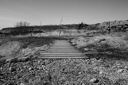 grayscale photography of brown wooden bridge surrounded by grasses thumbnail