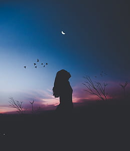 dawn, nature, sky, sunset thumbnail