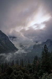 mountain ranges with tall trees thumbnail