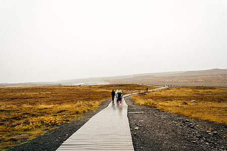 group of people walking on road under white sky during daytime thumbnail