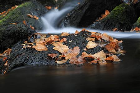 Colorful autumn stream. thumbnail
