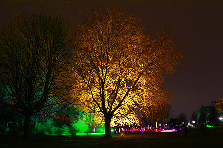 Westphalia Park, Winter Lights thumbnail