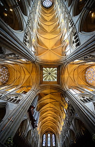 worm's eye-view photo of cathedral thumbnail