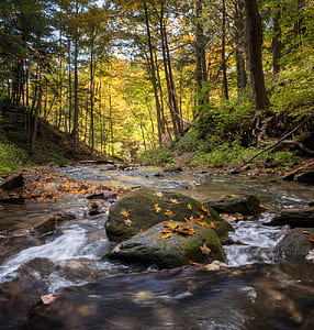 time-lapse photo of river surrounded by trees thumbnail