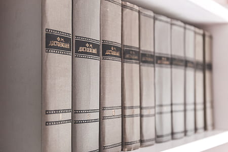 books, research, shelf, knowledge thumbnail