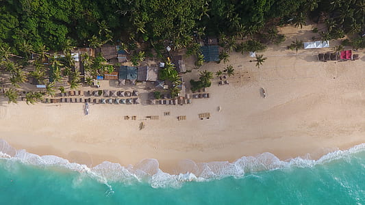 top view photography of houses beside beach and trees at daytime thumbnail