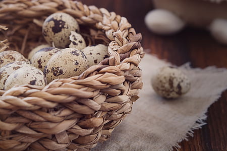 quail eggs on basket thumbnail