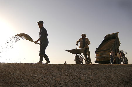 man pushing wheelbarrow thumbnail