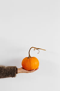 Women's hands in sweater are holding pumpkin thumbnail