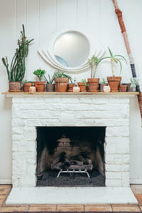 green plants on white mantelpiece thumbnail
