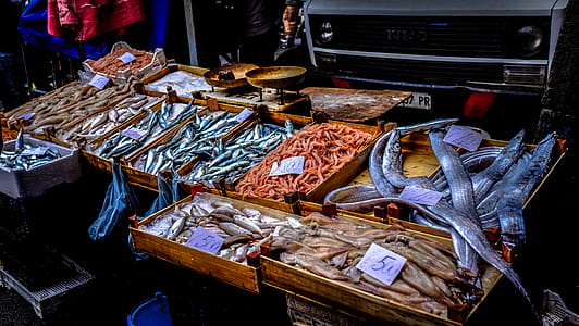 Fish market thumbnail