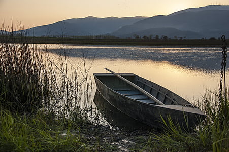 brown canoe dock near green grass field at daytime thumbnail