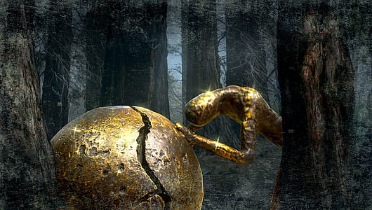 gold charad thumbnail
