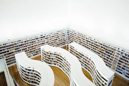 book filled bookshelves thumbnail