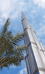 green tree beside building thumbnail