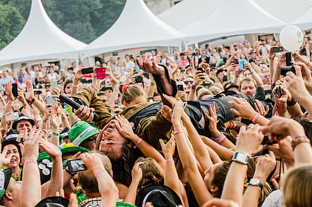 people, crowd, music, musician thumbnail
