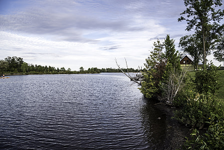 Along th shoreline of small lake in Thunder Bay,  Ontario thumbnail