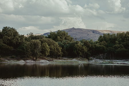 Body of Water Near Green Trees thumbnail