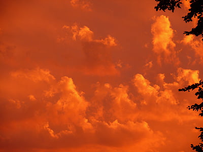 orange skies during sunset thumbnail