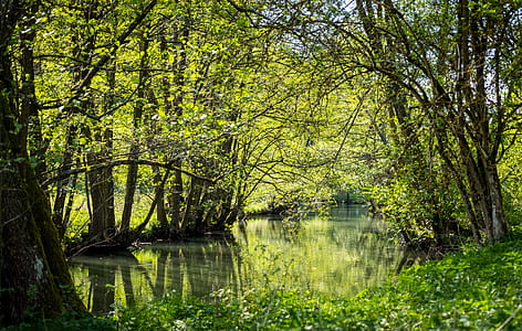 nature photo thumbnail