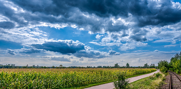 photography of green grass field during day time thumbnail