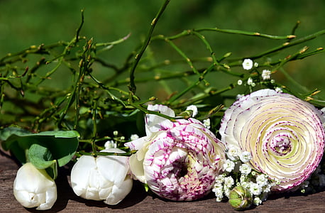close-up of white and purple flowers in bloom thumbnail