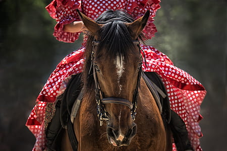 person wearing red and white polka-dot clothes riding on brown and black horse thumbnail