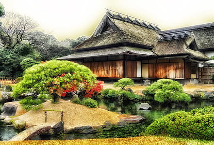 gray and brown wooden house beside pond with plants at daytime thumbnail