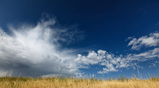 white clouds over brown grass field thumbnail