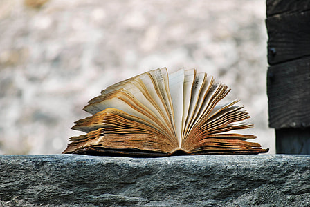 selective focus photography of book on gray concrete surface thumbnail
