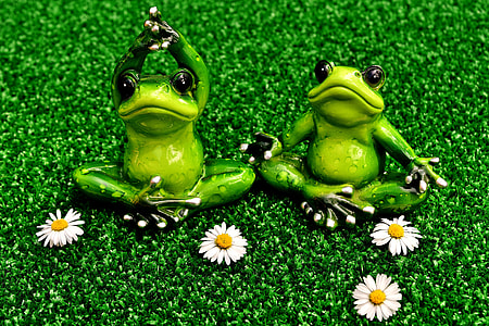 two green ceramic frogs on green grass thumbnail