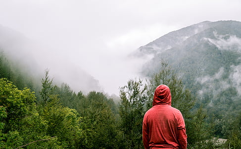 man standing in the middle of fogy forest thumbnail