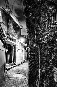 Grayscale Photography of Hallway in Between House thumbnail