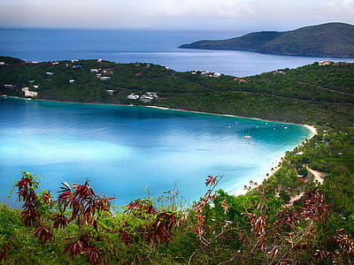 aerial photo of beach thumbnail