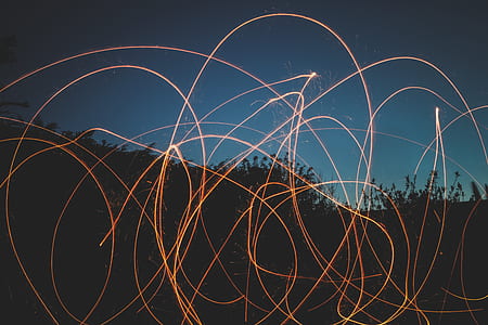 silhouette photo of trees and grass photo thumbnail