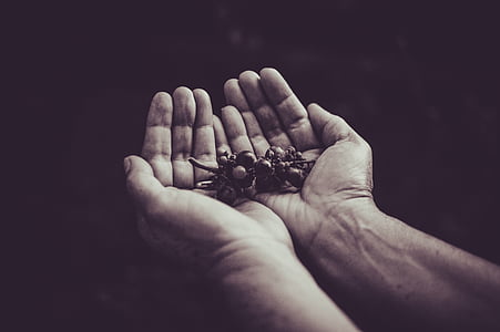 person holding fruit using both hands thumbnail