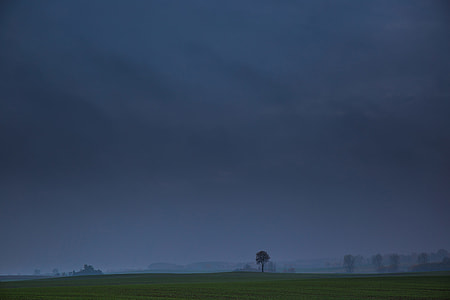 gray sky and green fields thumbnail