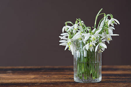 white flowers in crystal cut vase on brown wooden table in gray background thumbnail